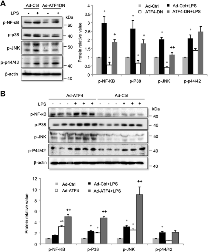 Suppressive Role of Endogenous Endothelial Monocyte Chemoattractant  Protein–1 on Monocyte Transendothelial Migration In Vitro