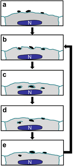 figure 8