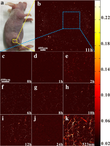 figure 12