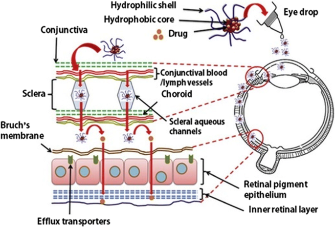 PDF) Combination drug delivery approaches in ophthalmology