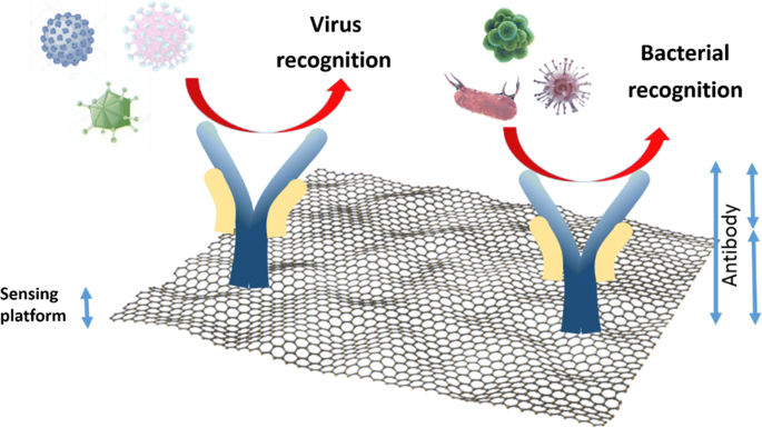 Recent advances in graphene-based biosensor technology with applications in  life sciences | Journal of Nanobiotechnology | Full Text