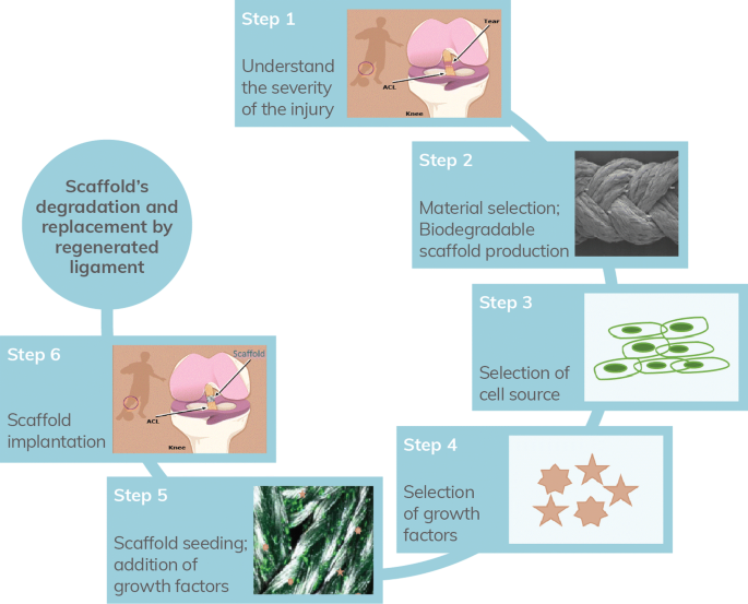 biodegradable polymers examples