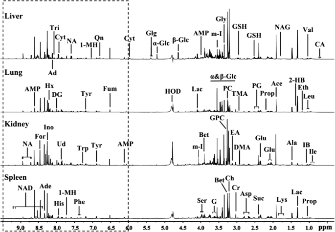 mestrenova ua nmr mestrenova ua nmr