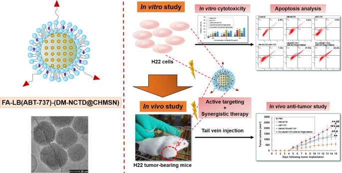 Synergistic Co Delivery Of Diacid Metabolite Of Norcantharidin And Abt 737 Based On Folate Modified Lipid Bilayer Coated Mesoporous Silica Nanoparticle Against Hepatic Carcinoma Springerlink