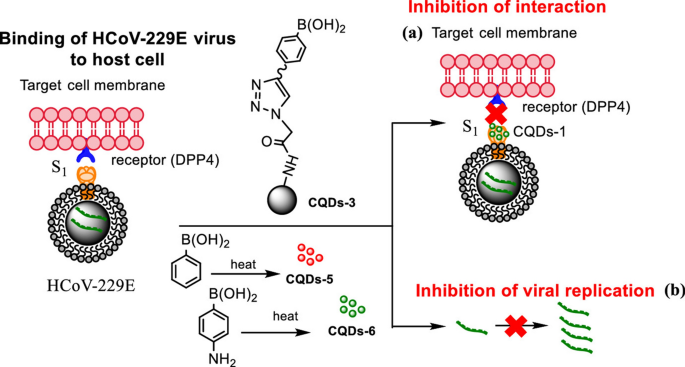 How can nanotechnology help to combat COVID-19? Opportunities and urgent  need | Journal of Nanobiotechnology | Full Text