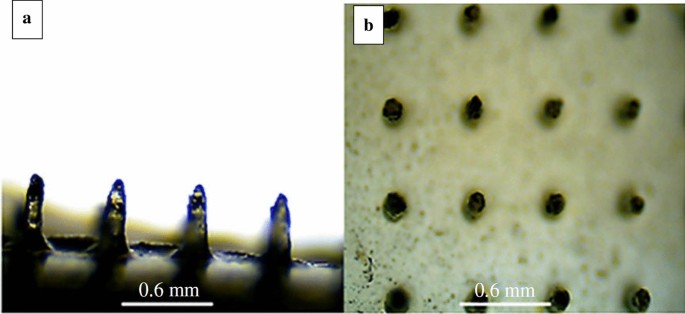 figure 28