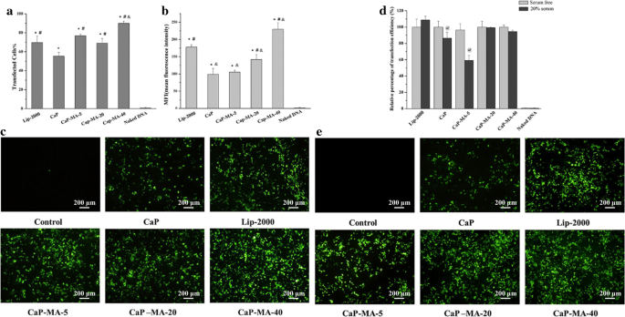 Enhance Transgene Responses Through Improving Cellular Uptake And Intracellular Trafficking By Bio Inspired Non Viral Vectors Journal Of Nanobiotechnology Full Text
