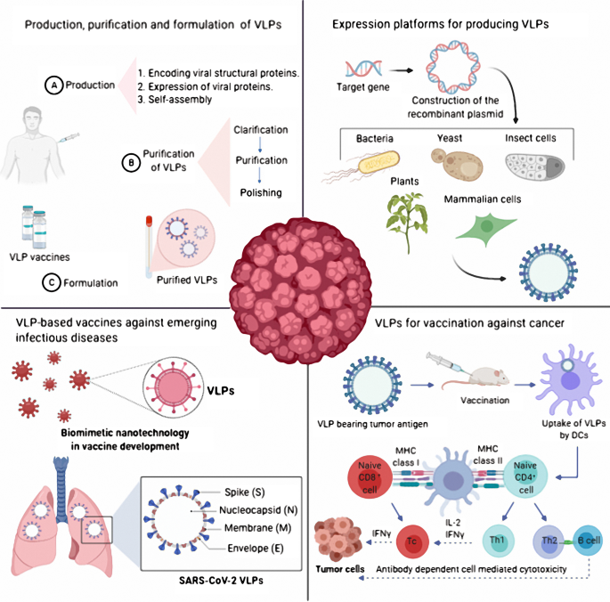 Virus-like particles: preparation, immunogenicity and their roles as nanovaccines and drug nanocarriers | Journal of Nanobiotechnology | Full Text Virus-like particles: preparation, immunogenicity and their roles as nanovaccines and drug nanocarriers | Journal of Nanobiotechnology | Full Text