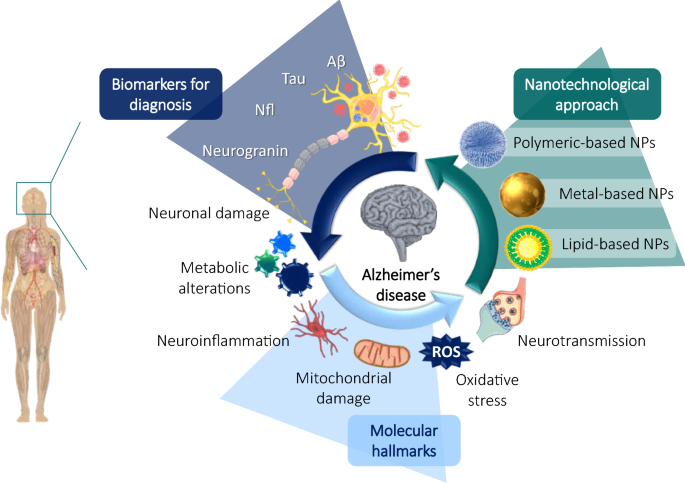 Nanomedicine-based technologies and novel biomarkers for the diagnosis and  treatment of Alzheimer's disease: from current to future challenges |  Journal of Nanobiotechnology | Full Text
