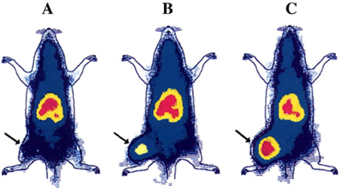 figure 27