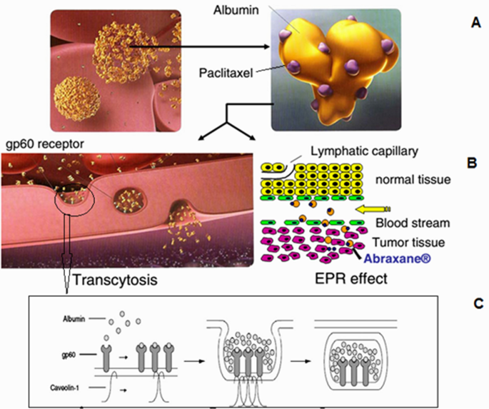 figure 28