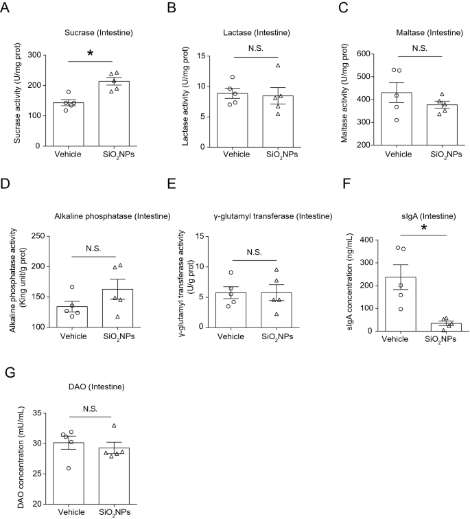 Silicon Dioxide Nanoparticles Induced Neurobehavioral Impairments By Disrupting Microbiota Gut Brain Axis Journal Of Nanobiotechnology Full Text Silicon Dioxide Nanoparticles Induced Neurobehavioral Impairments By Disrupting Microbiota Gut Brain Axis Journal Of Nanobiotechnology Full Text