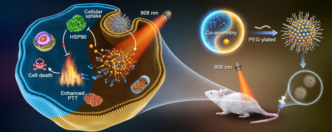 Molecularly Engineered Carrier Free Co Delivery Nanoassembly For Self Sensitized Photothermal Cancer Therapy Journal Of Nanobiotechnology Full Text