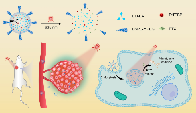 One-photon red light-triggered disassembly of small-molecule nanoparticles  for drug delivery | Journal of Nanobiotechnology | Full Text