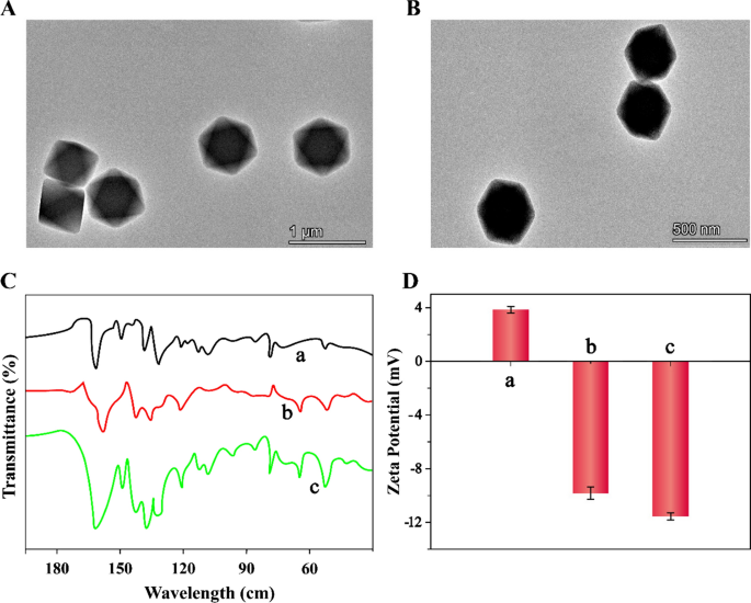 Femtomolar and locus-specific detection of N6-methyladenine in DNA by  integrating double-hindered replication and nucleic acid-functionalized MB@ Zr-MOF | Journal of Nanobiotechnology | Full Text