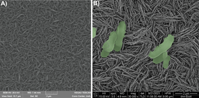 figure1