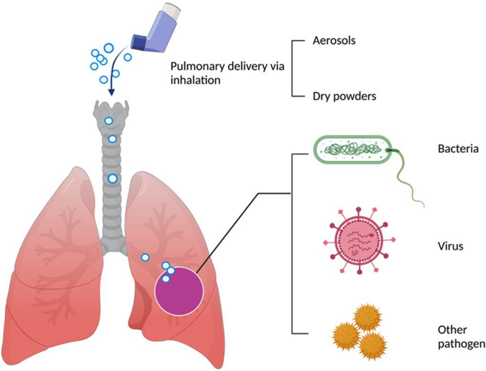 A roadmap to pulmonary delivery strategies for the treatment of infectious  lung diseases | Journal of Nanobiotechnology | Full Text