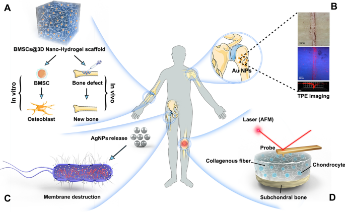 Antimicrobial nanocoatings: Functional and preventative benefits