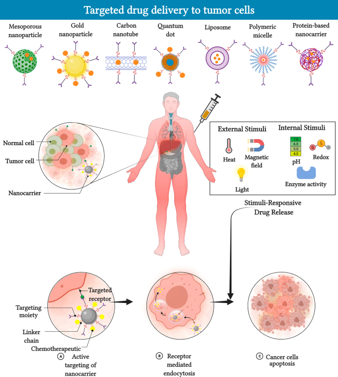 A Folate Receptor-Targeting Nanoparticle Minimizes Drug Resistance