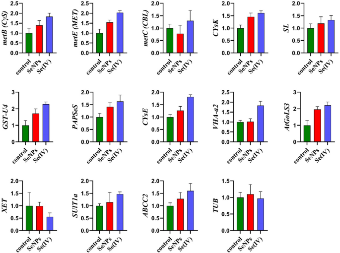 Comparative efficacy of bio-selenium nanoparticles and sodium selenite on  morpho-physiochemical attributes under normal and salt stress conditions,  besides selenium detoxification pathways in Brassica napus L. | Journal of  Nanobiotechnology | Full Text