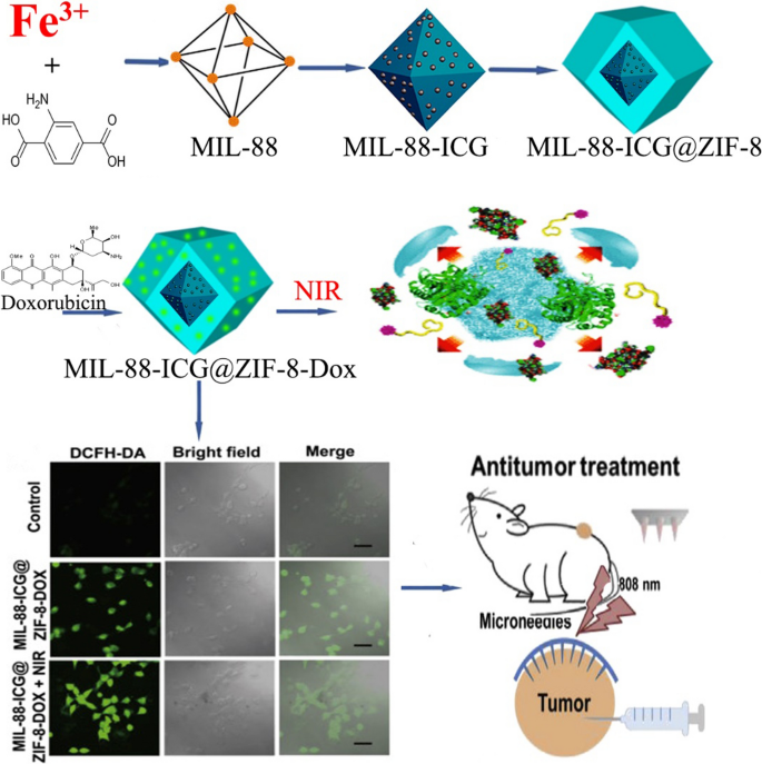 Bimetallic Metal–Organic Framework Fe/Co-MIL-88(NH2) Exhibiting High  Peroxidase-like Activity and Its Application in Detection of Extracellular  Vesicles