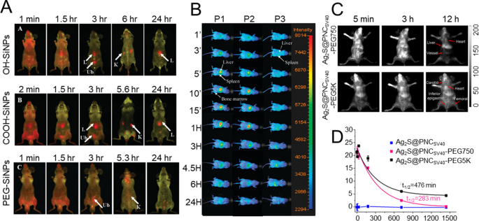 figure 11