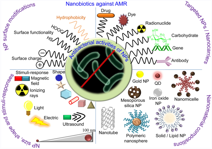 Nanobiotics against antimicrobial resistance: harnessing the power 