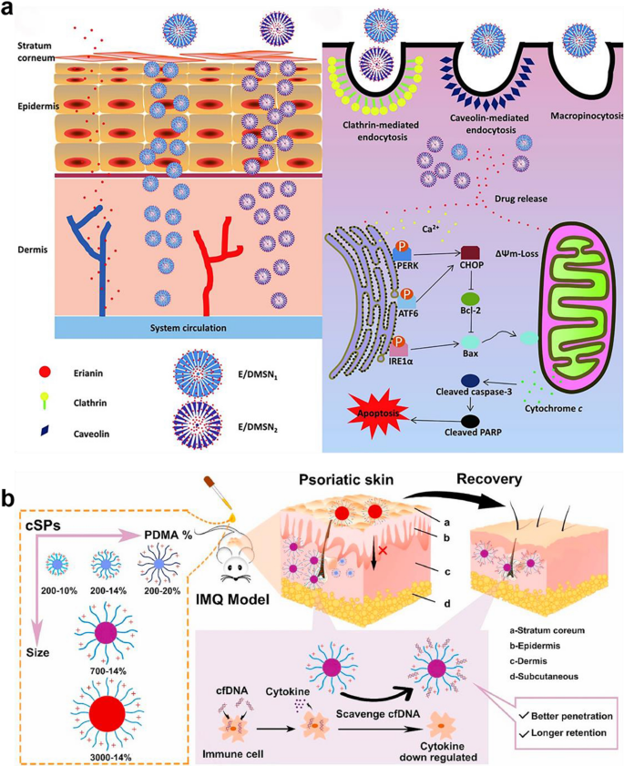 Nanodelivery Systems for Topical Management of Skin Disorders