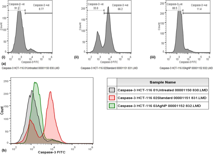 figure 17