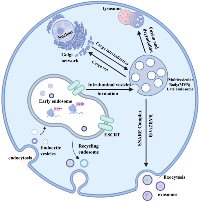 ISEV2018 abstract book - Théry - 2018 - Journal of Extracellular