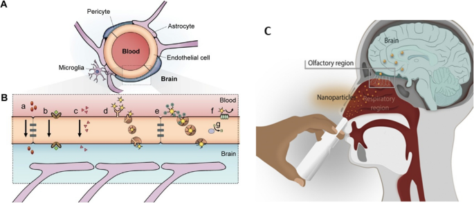 what is diagnostic research design example figure 3