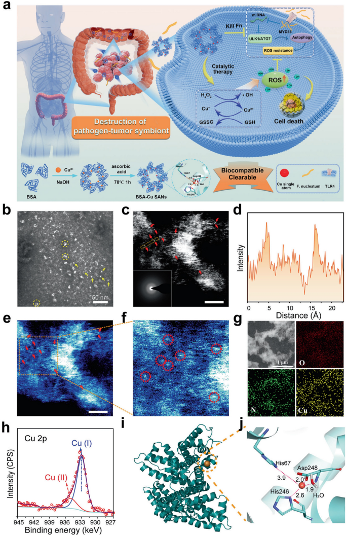 synthesis characteristics figure 10