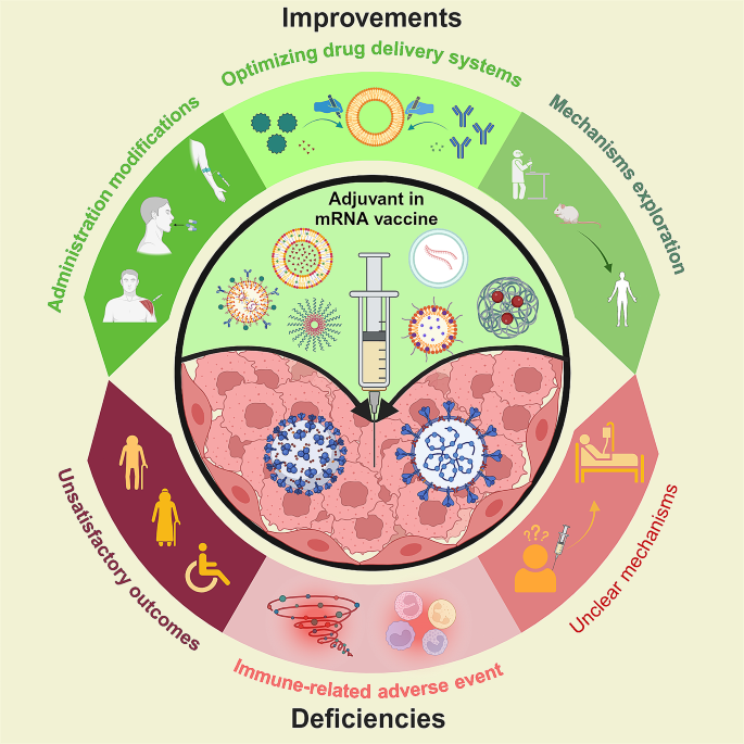 antigen processing and presentation nature review figure 4