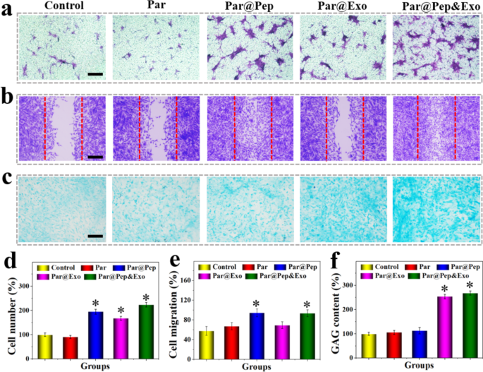 Stem cell recruitment polypeptide hydrogel microcarriers with
