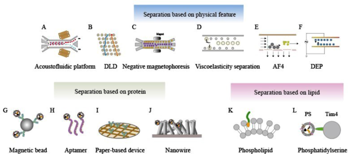 The new advance of exosome-based liquid biopsy for cancer 