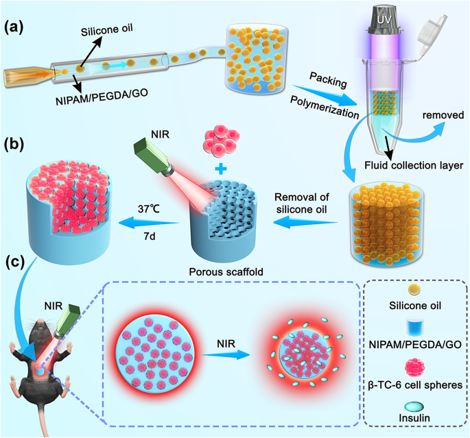 Islet cell spheroids produced by a thermally sensitive scaffold a new