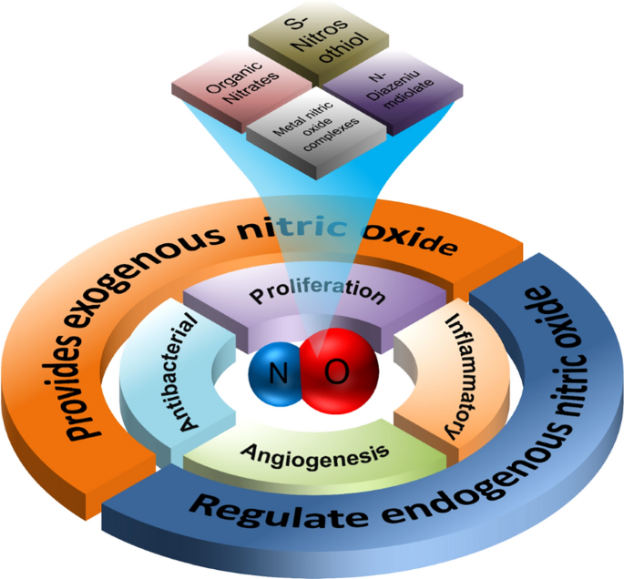 Emerging strategies for nitric oxide production and their topical application as nanodressings to promote diabetic wound healing | Journal of Nanobiotechnology