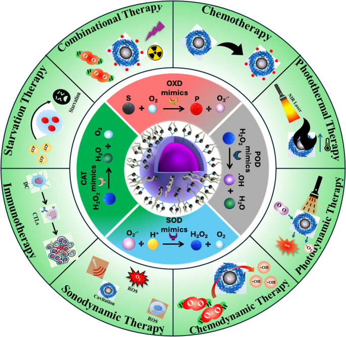 New horizons for the therapeutic application of nanozymes in cancer ...