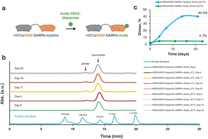 Engineering bispecific HER2xVEGF designed ankyrin repeat proteins for targeted nanobiotechnology applications | Journal of Nanobiotechnology 3 figure 3