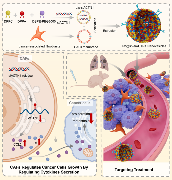 Targeting tumor microenvironment with biomimetic nanovesicles for non ...