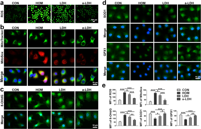 Amorphous layered double hydroxide-based nano-enzyme eye drops against dry eye disease by inhibiting mitochondrial damage and pyroptosis | Journal of Nanobiotechnology 3 figure 3