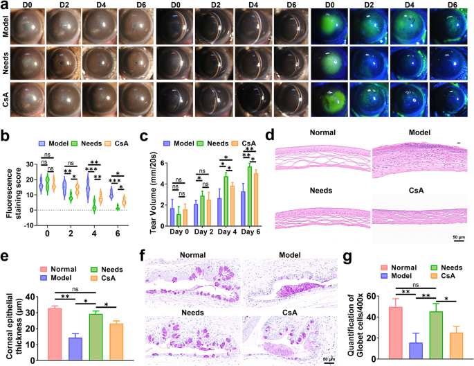 Amorphous layered double hydroxide-based nano-enzyme eye drops against dry eye disease by inhibiting mitochondrial damage and pyroptosis | Journal of Nanobiotechnology 7 figure 7