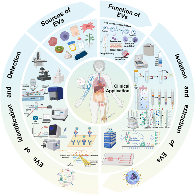 Advances of extracellular vesicles isolation and detection frontier ...
