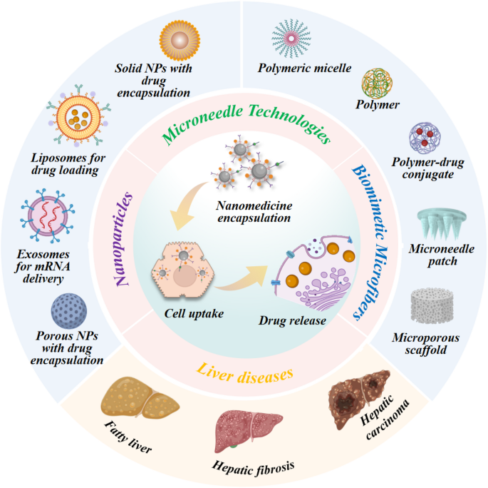 Emerging nanomedicine for liver diseases treatment | Journal of  Nanobiotechnology