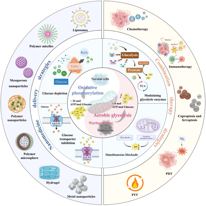 Nanomedicine-enabled disruption of glucose metabolism and synergistic  antitumor therapy | Journal of Nanobiotechnology | Springer Nature Link