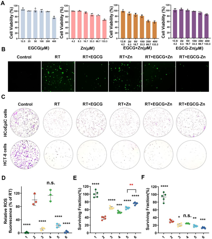 Rectal delivered nanocomposite suppository against radiation-induced  proctitis | Journal of Nanobiotechnology | Springer Nature Link