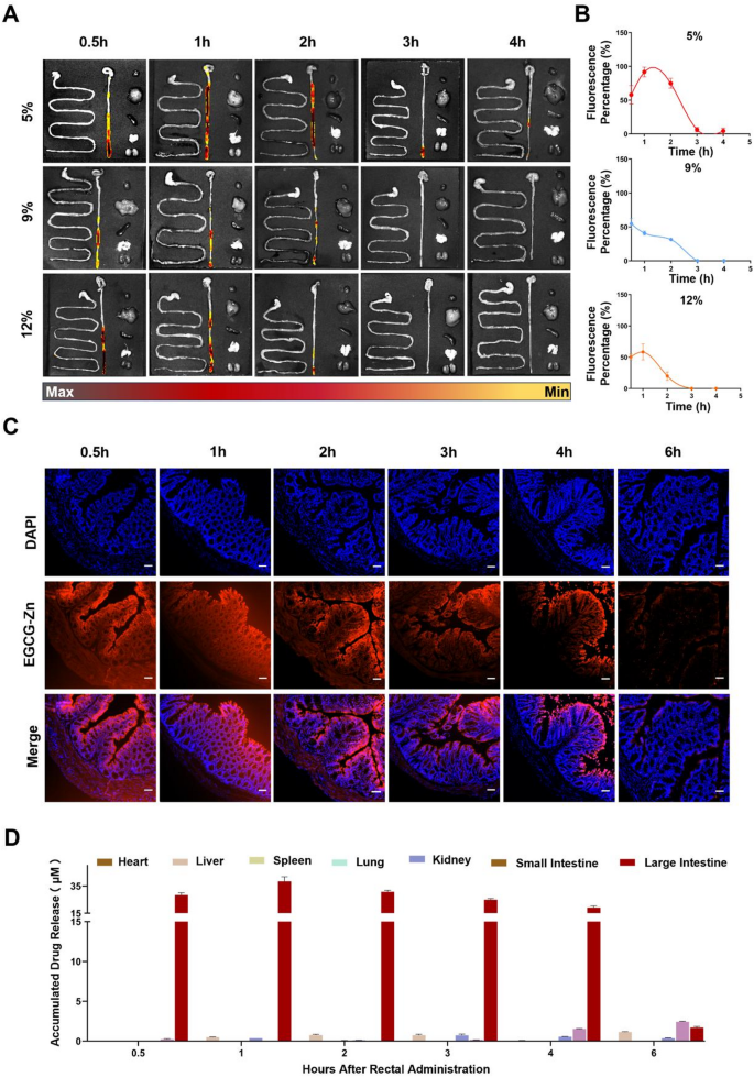 Rectal delivered nanocomposite suppository against radiation-induced  proctitis | Journal of Nanobiotechnology