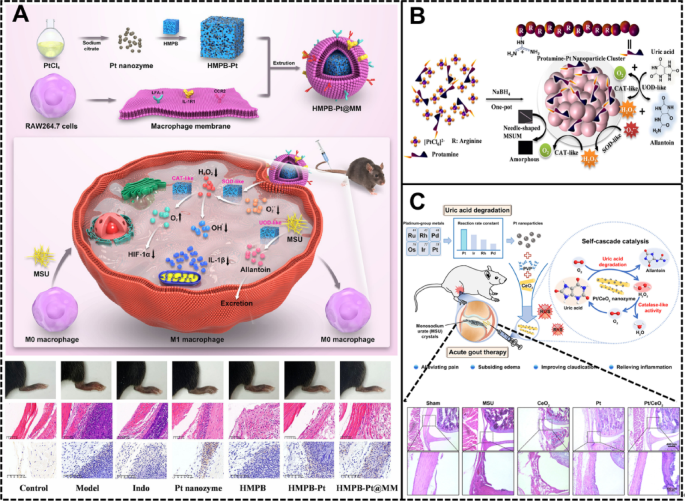 glutathione and prostate Glutathione-responsive PROTAC prodrug delivery for prostate cancer | Eleen  Laul posted on the topic