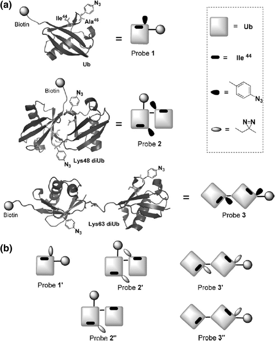 figure 37