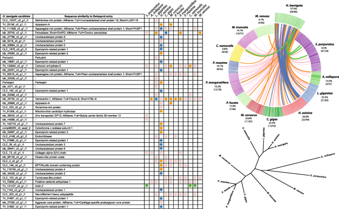 In Depth Proteomic Analyses Of Haliotis Laevigata Greenlip Abalone Nacre And Prismatic Organic Shell Matrix Proteome Science Full Text